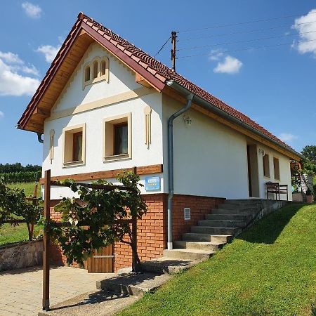 Villa Kellerstoeckl Weinberg Eisenberg an der Pinka Exterior foto