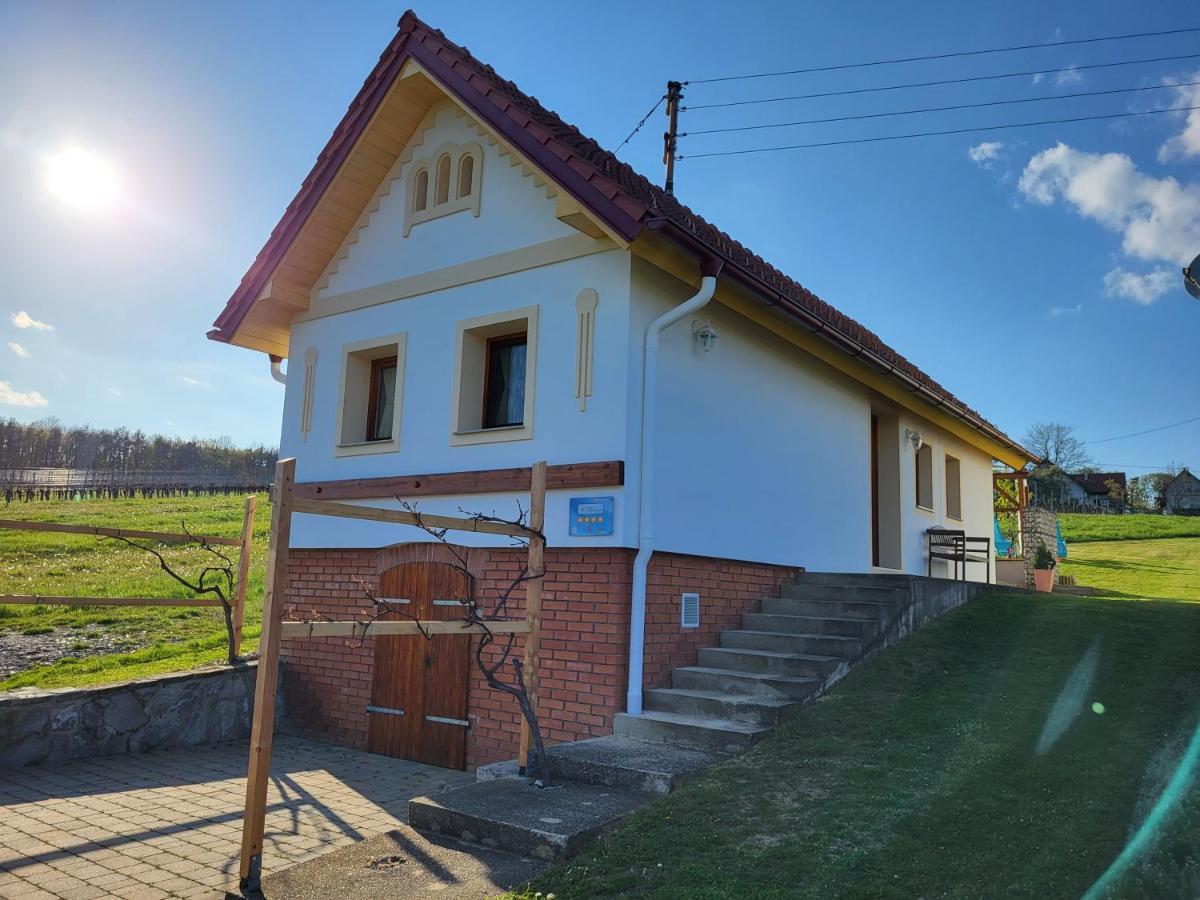 Villa Kellerstoeckl Weinberg Eisenberg an der Pinka Exterior foto